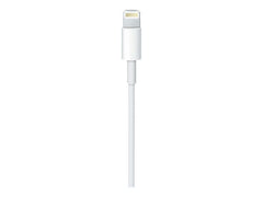 Apple USB-C to Lightning Cable