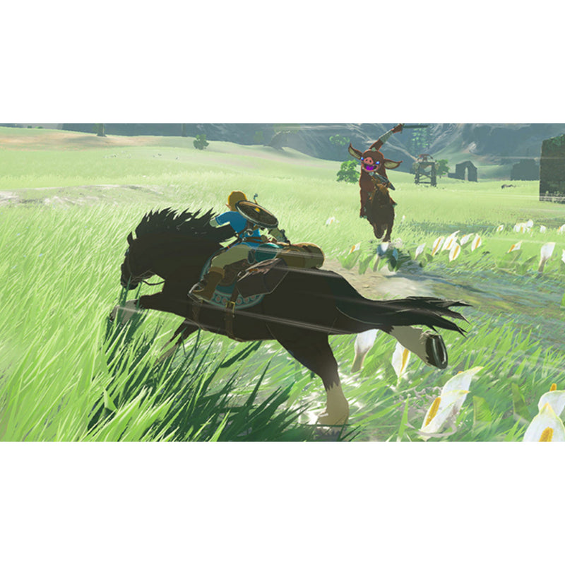 The Legend of Zelda: Breath of the Wild - Nintendo Switch Game