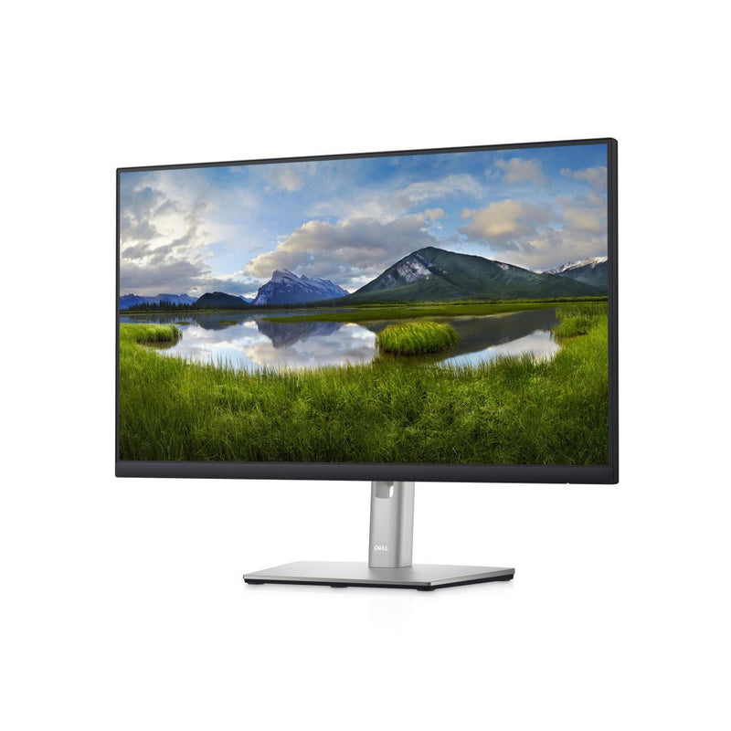 Dell 24 USB-C P2422HE 23.8" FHD Hub Monitor