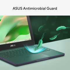 ASUS 11.6