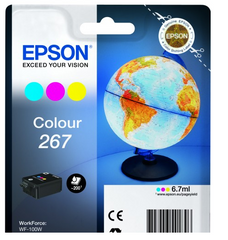 Epson 267 Globe Black Standard Capacity Ink Cartridge 7ml - C13T26704010